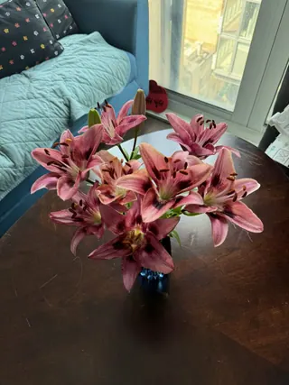 Natural things collection photo 7 of 19