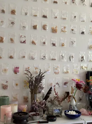Natural things collection photo 12 of 19