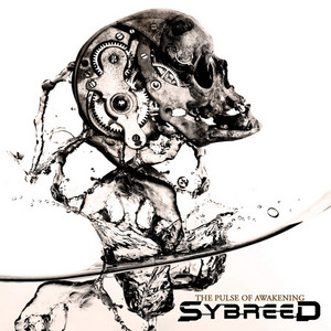 Doomsday Party by Sybreed cover