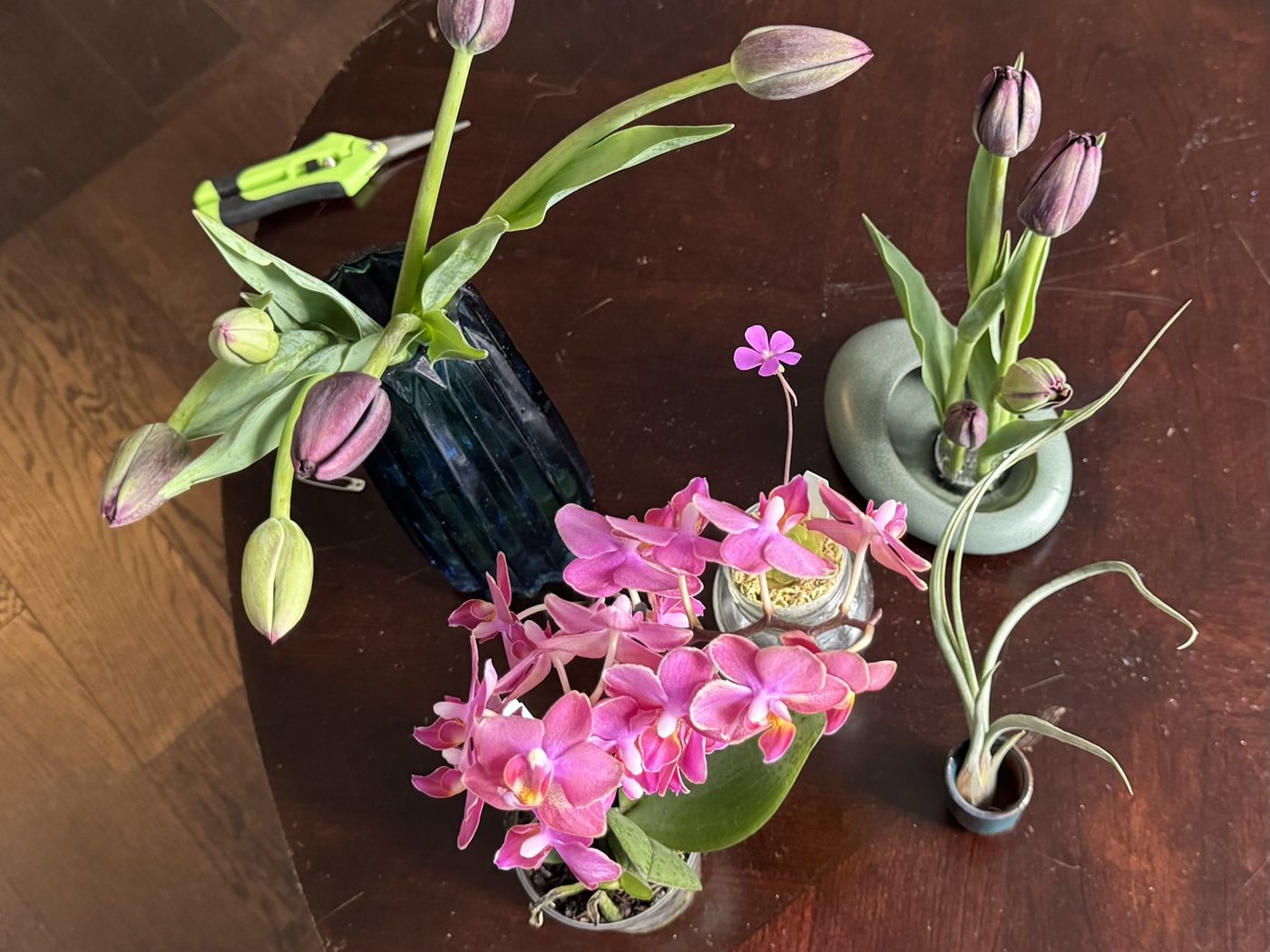 Natural things collection photo 3 of 19