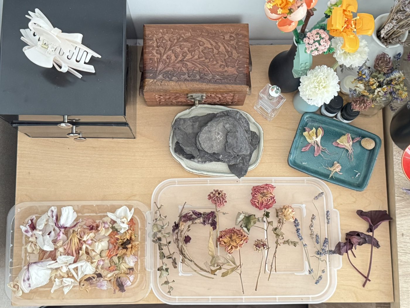 Natural things collection photo 5 of 19