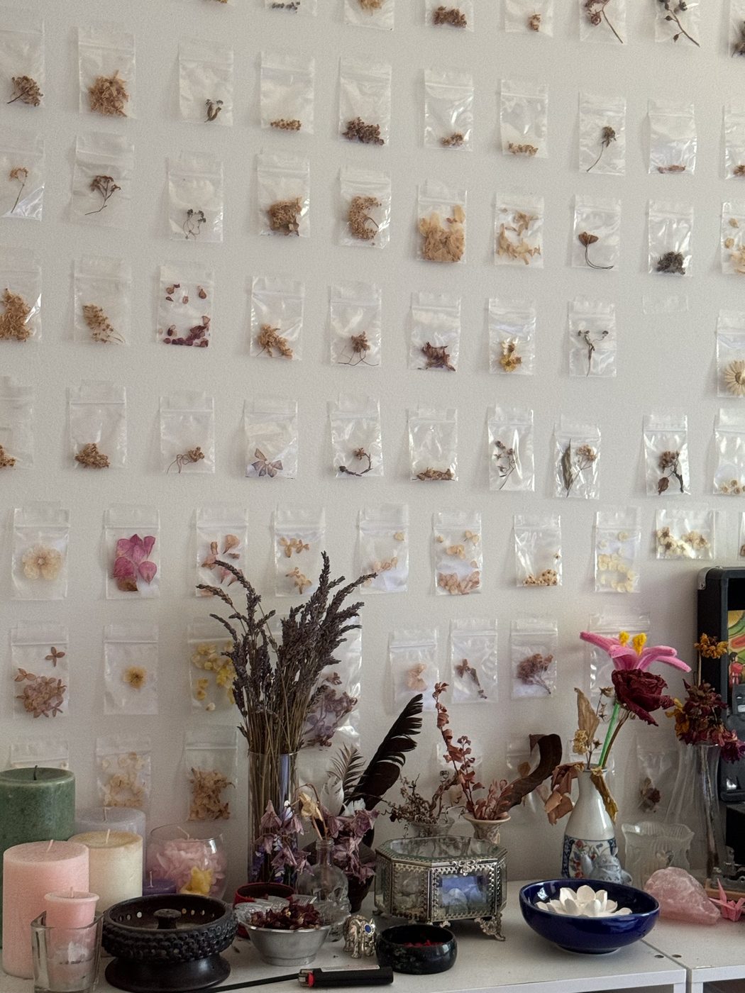 Natural things collection photo 12 of 19