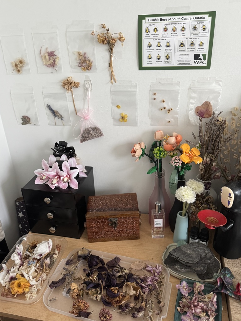 Natural things collection photo 18 of 19