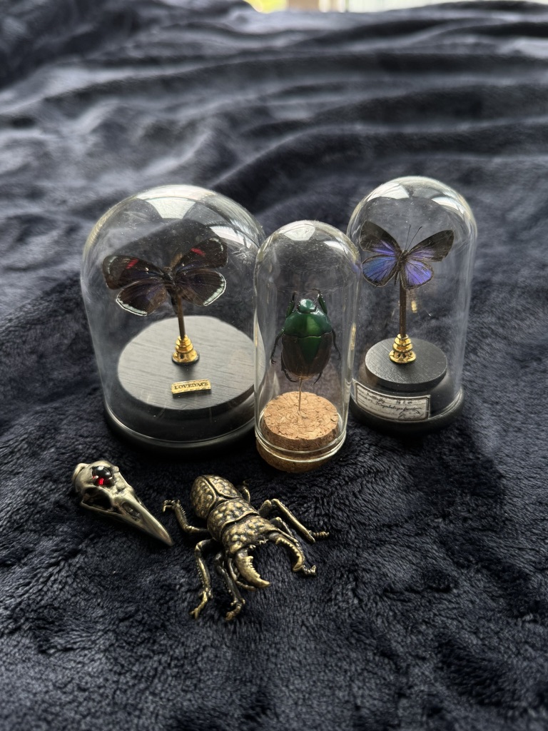 Natural things collection photo 19 of 19